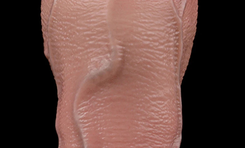 5.5" Ultra-Realistic Thick Dildo with Veins & Balls - Body-Safe Liquid Silicone & Strong Suction Base for Women & Solo Play