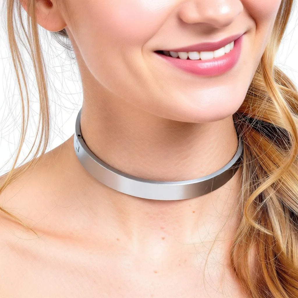 Brushed Stainless Steel Slave Collar Locking Choker Necklace for Fetish Wear Torque Role Playing Jewelry