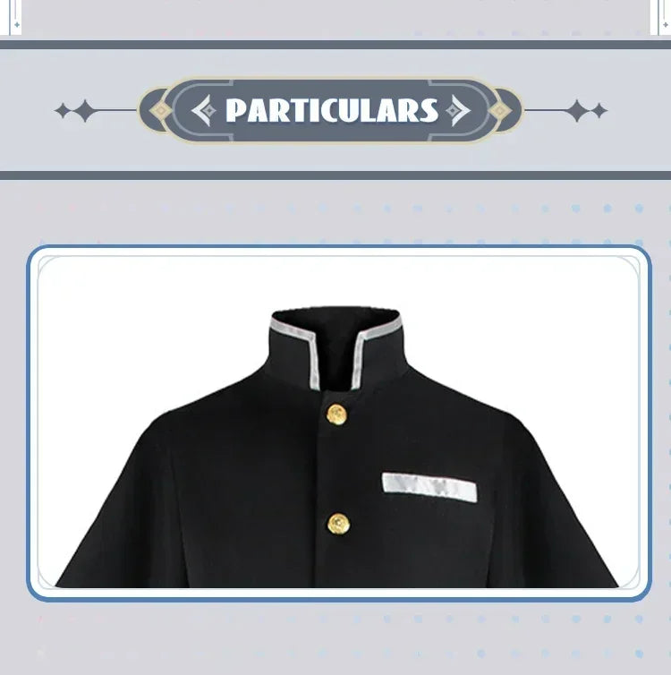 Aime Tokitou Muichirou Cosplay Costume Demon Slayer Cosplay Kimetsu No Yaiba Kisatsutai Uniform Wig Halloween Costume for Woman